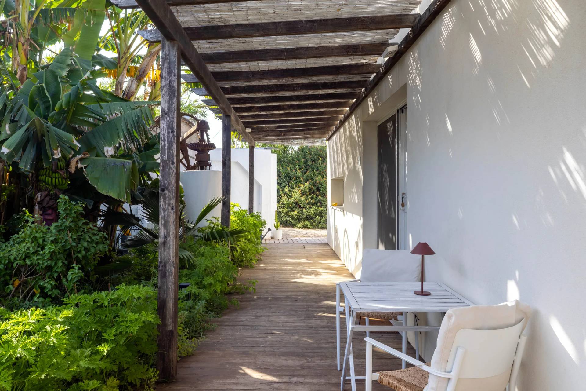 Foto 7